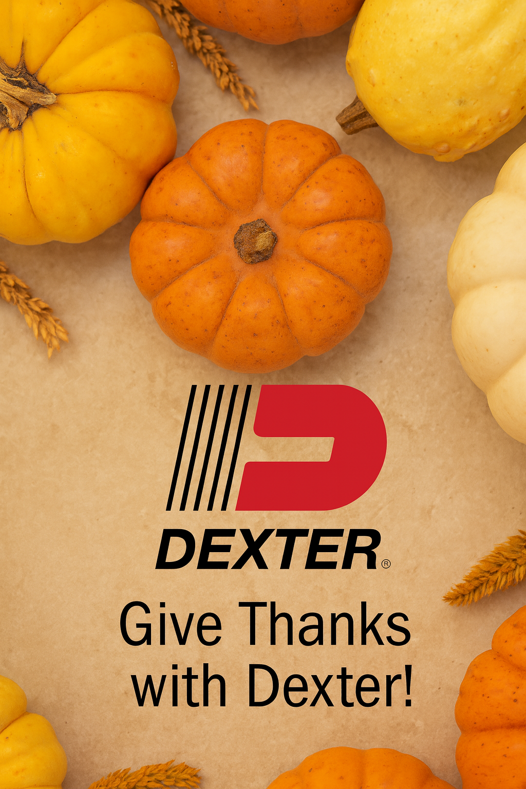 Dexter team and equipment — thankful and safe